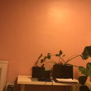 Meet your Posher, Aurelia